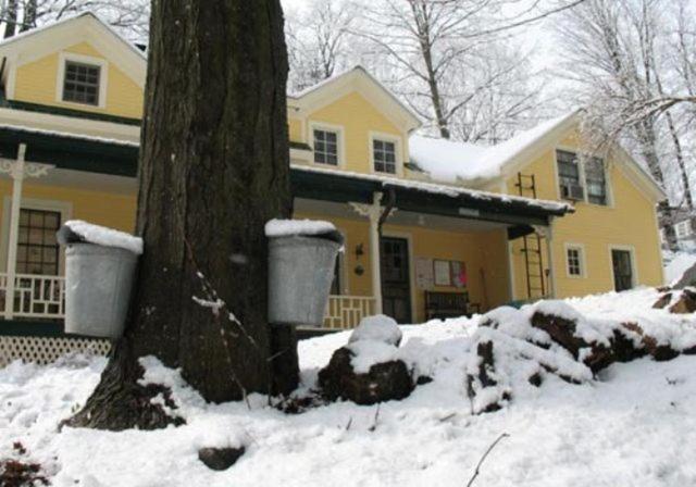 Tumble Inn Schroon Lake Exteriér fotografie